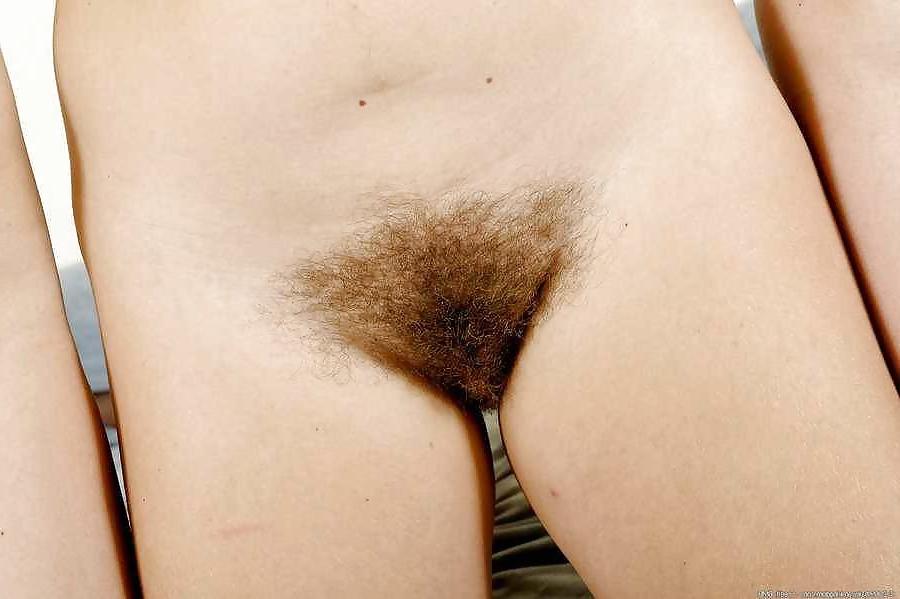 16P Hairy Hippie Fun