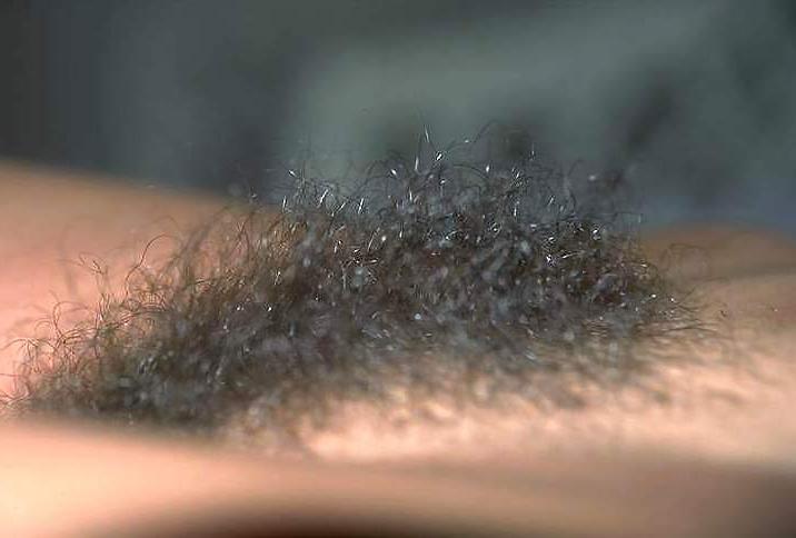 9P Hairy Pussy's - Great Looks