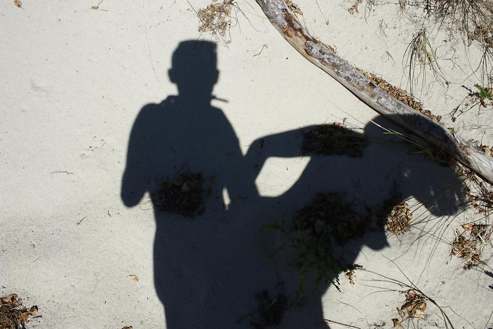 4P SEX IN BEACH