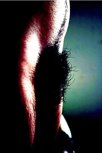 23P Super Hairy Pussy collection