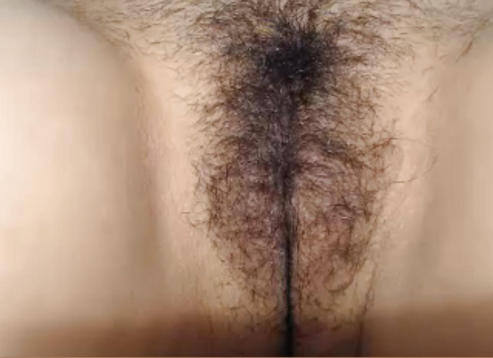 22P Hairy Pussy
