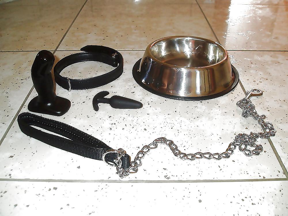 25P Doggies, Pets, Collar&Leash