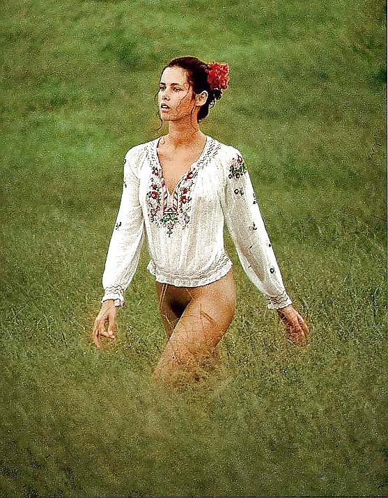 20P Bottomless Bush 41