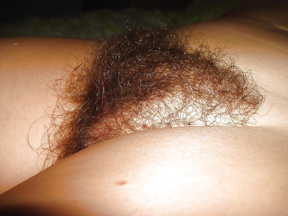 25P I LOVE a wide bush