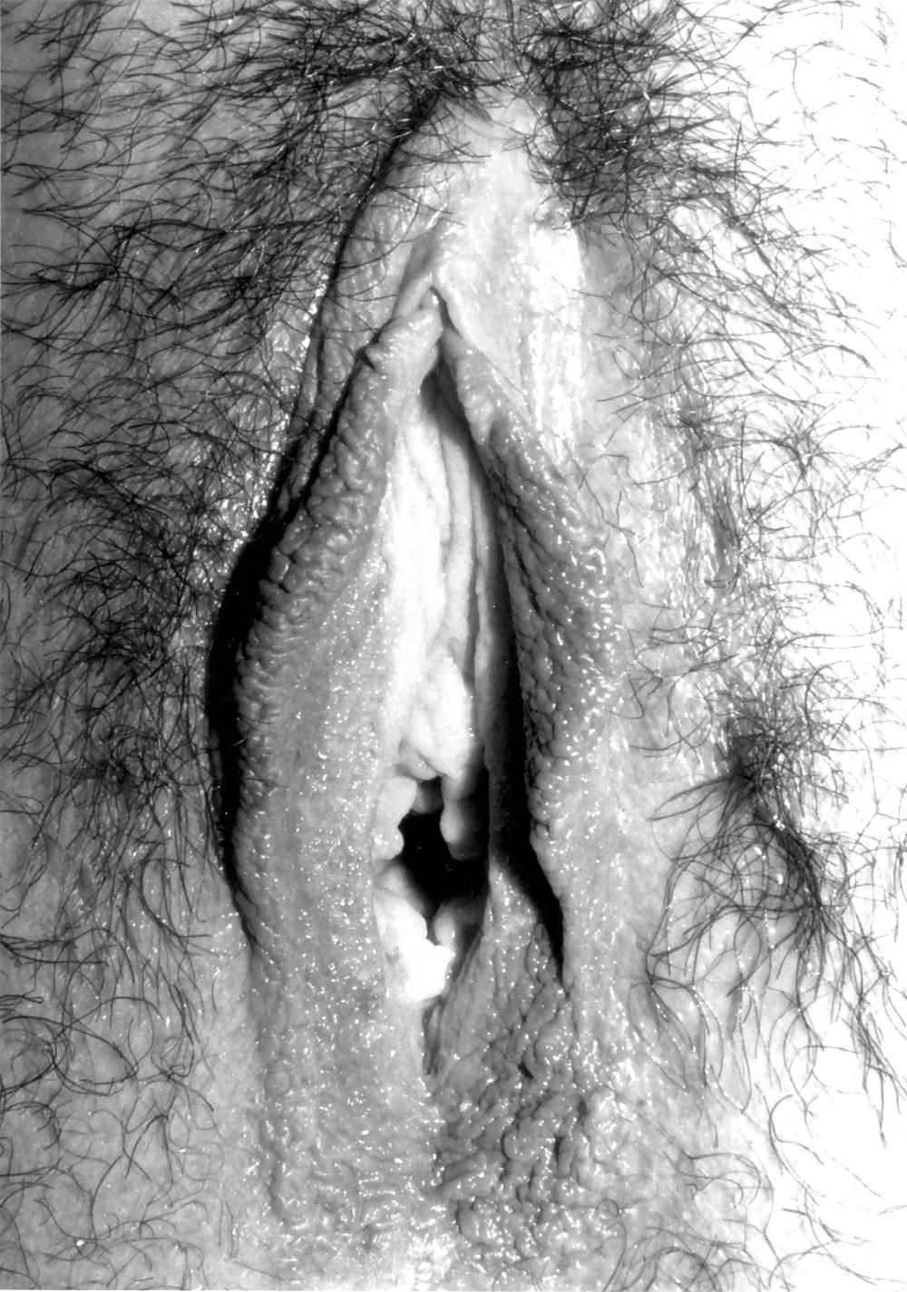 16P Zara Bush HD pix number 2
