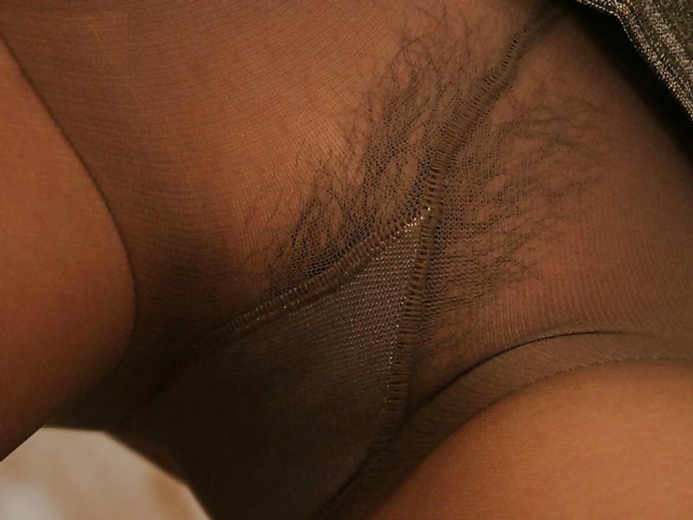 20P Pantyhose Bush