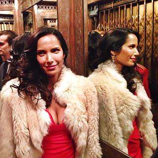11P Padma Lakshmi: Indian MILF Celebrity - Ameman