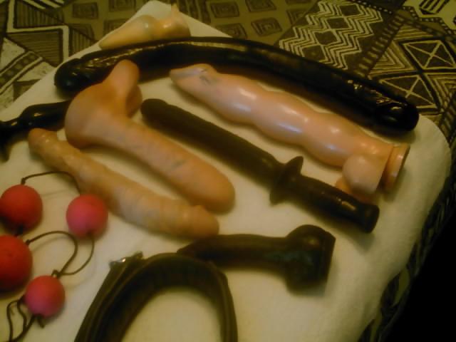 6P Leather & Toys & Gear, oh my!