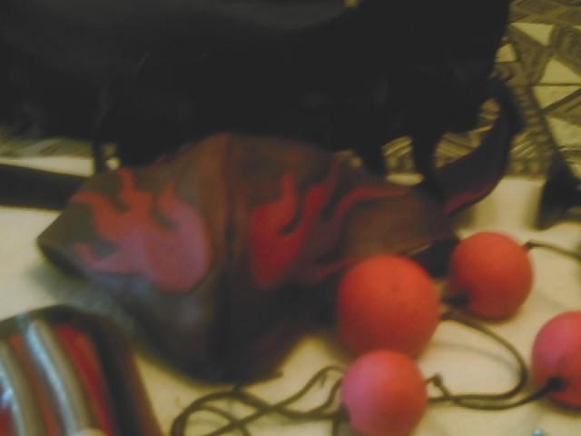 6P Leather & Toys & Gear, oh my!