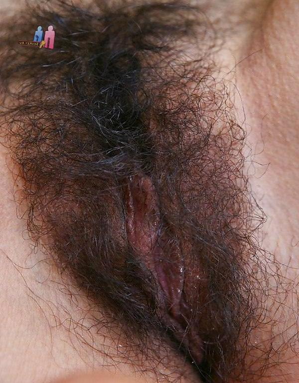 25P Hairy pussy whores