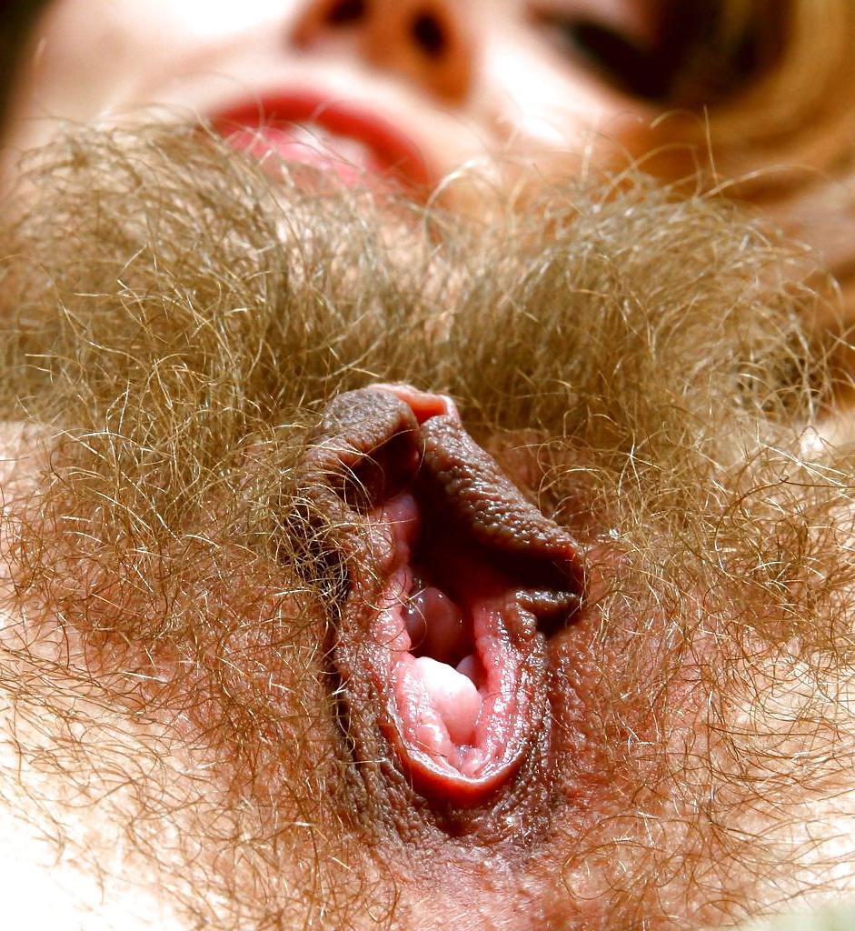 25P Hairy pussy whores
