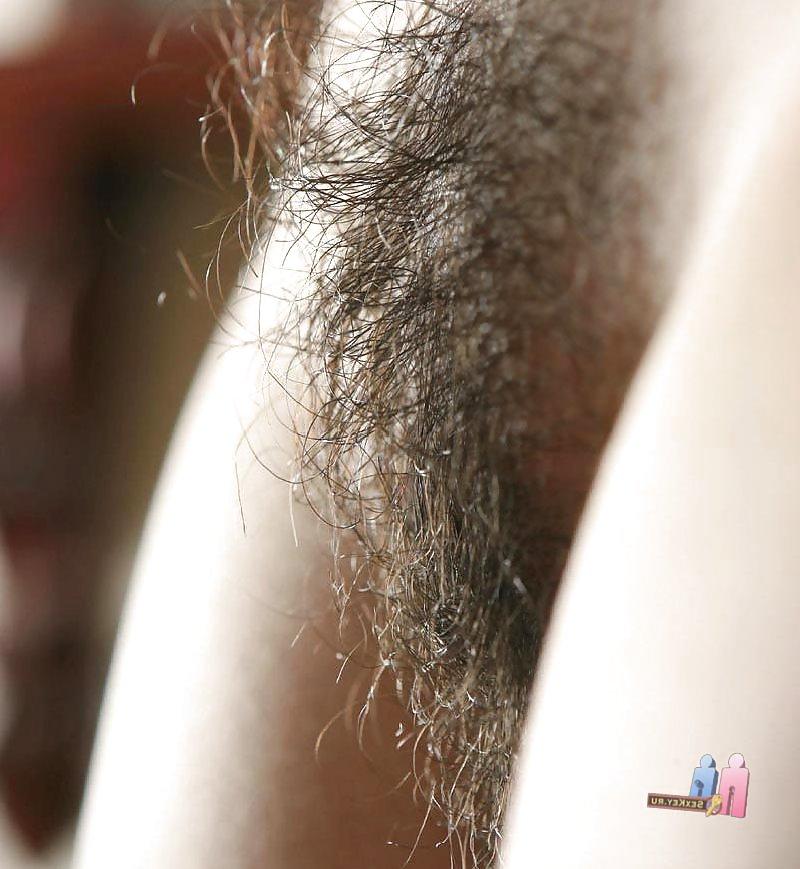 25P Hairy pussy whores