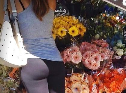 16P For the Love Of Yoga Pants