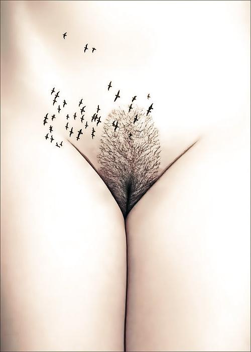 25P Hairy Pussy 5!