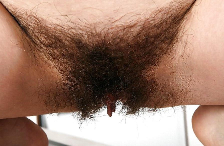 15P HAIRY PUSSY