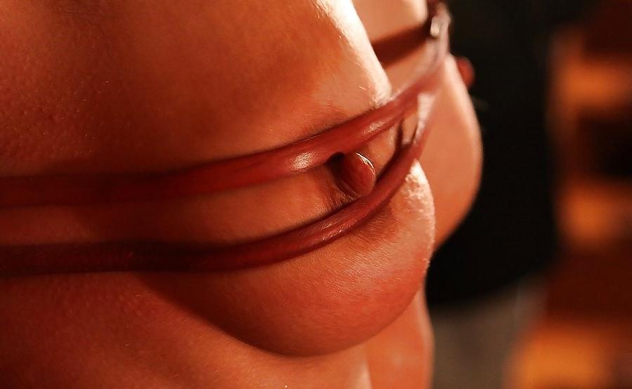 25P Whip and tits
