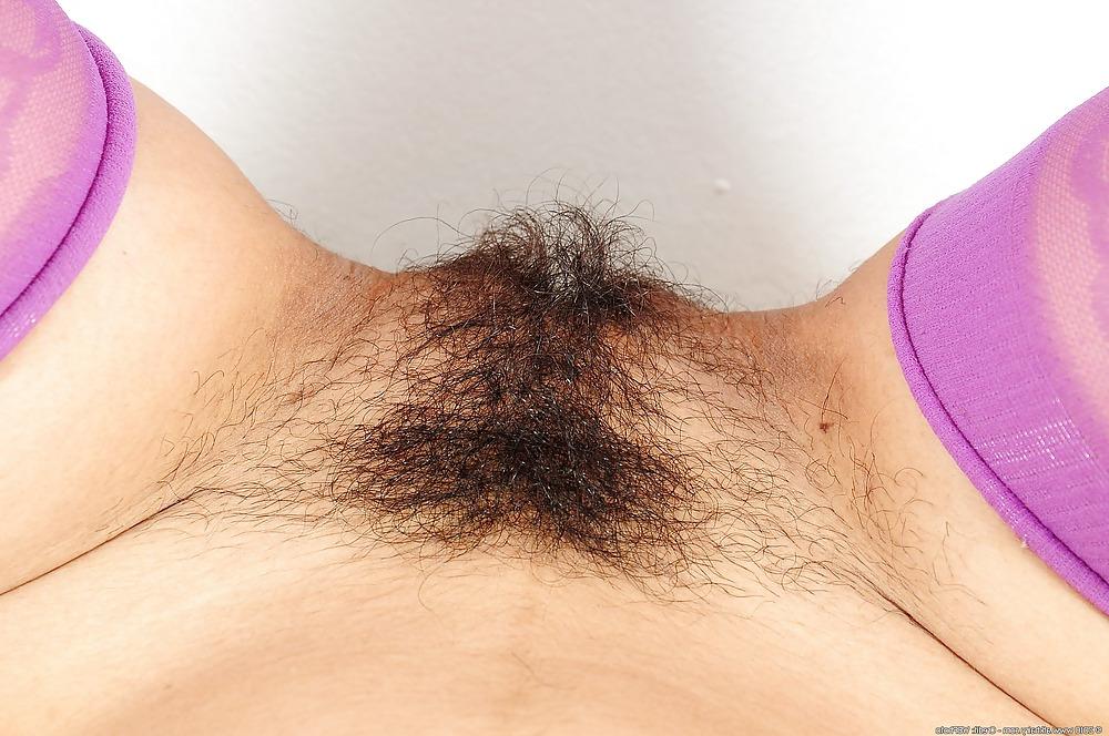 25P Hairy Pussies