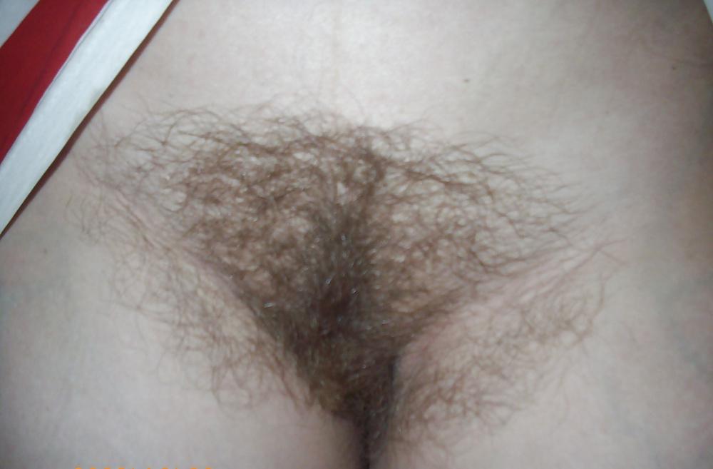 16P Hairy pussy