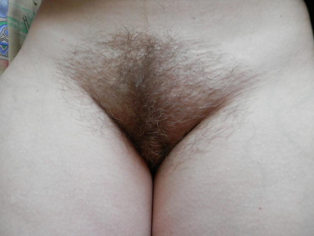 16P Hairy pussy
