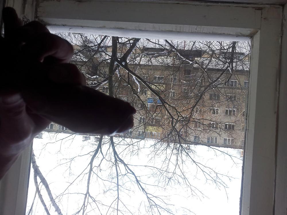 5P In the window