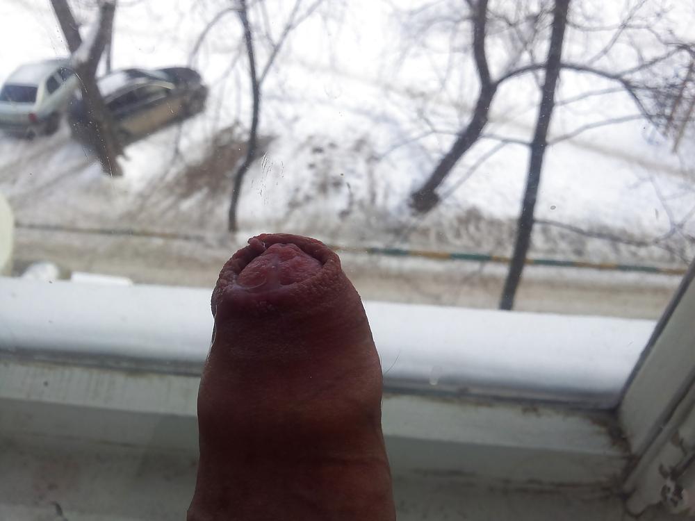 5P In the window