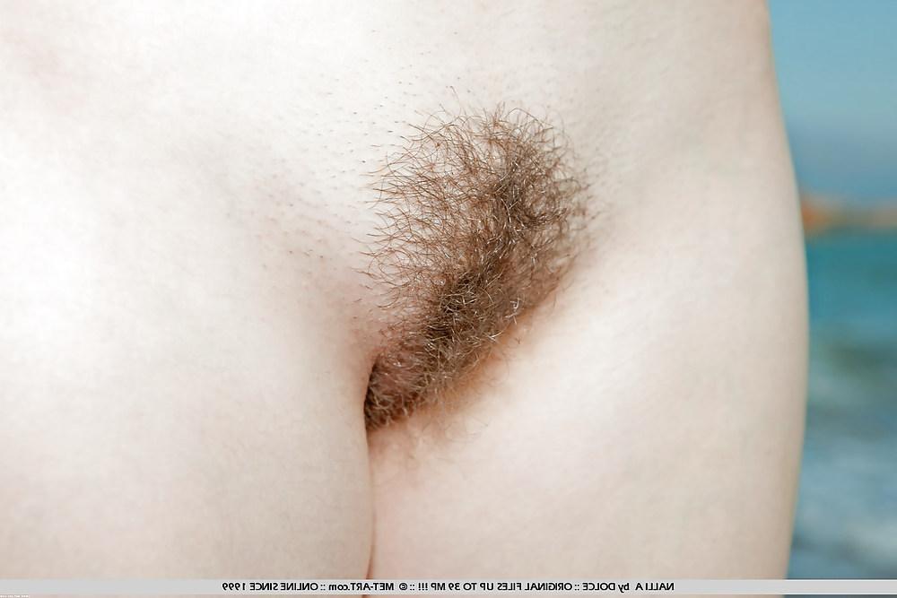 24P Hairy pussy whores 2