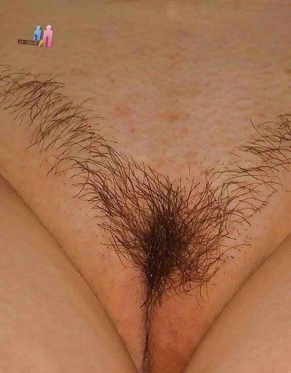 24P Hairy pussy whores 2