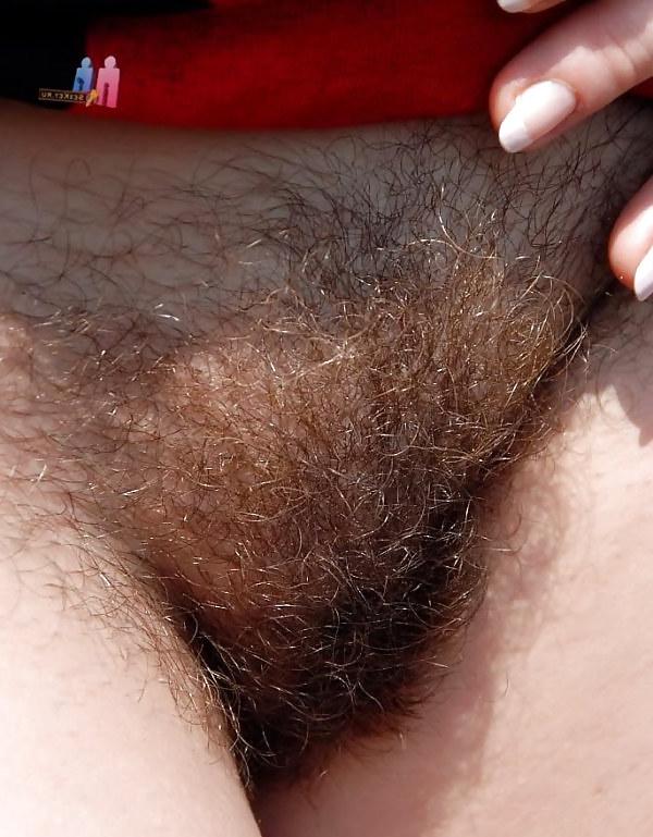 24P Hairy pussy whores 2