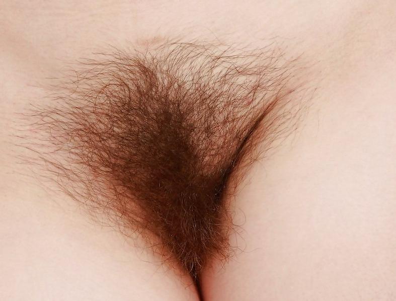 20P Moshe Loves Hairy Pussy