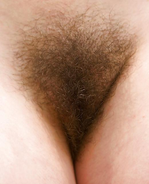 16P Sina, shy, young and hairy!