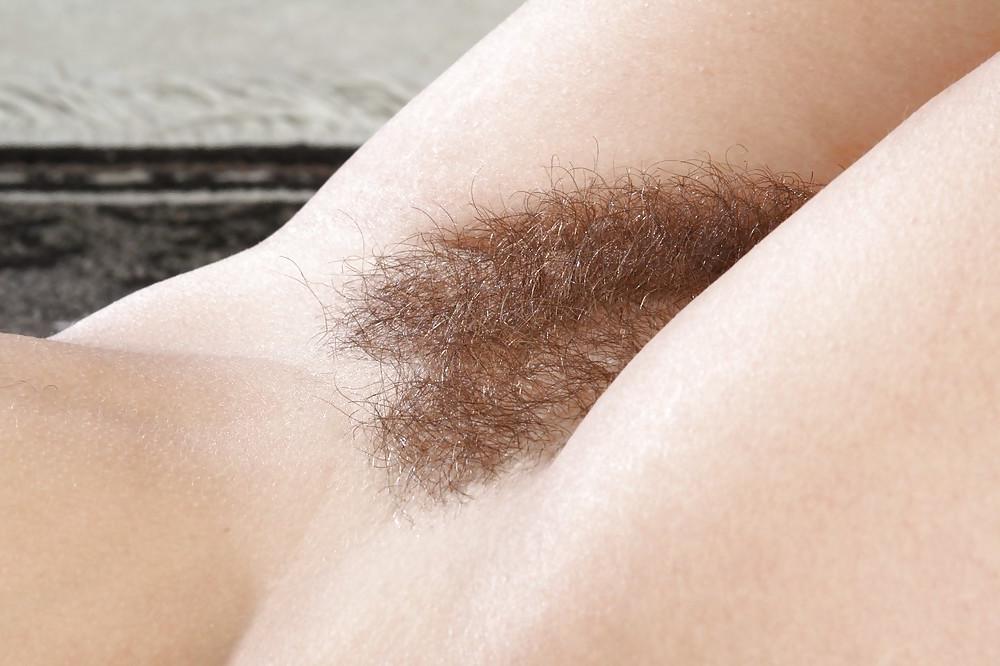 25P Moshe Loves Hairy Pussy 2