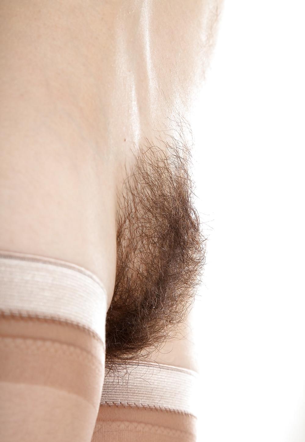 25P Moshe Loves Hairy Pussy 2