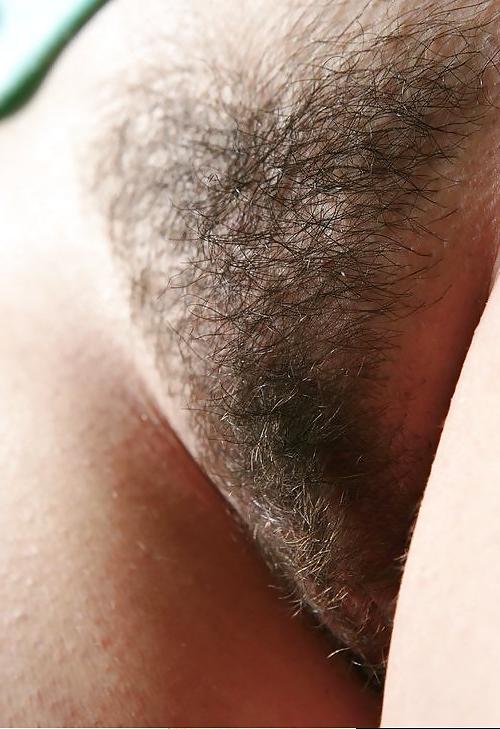 22P Moshe Loves Hairy Pussy 3