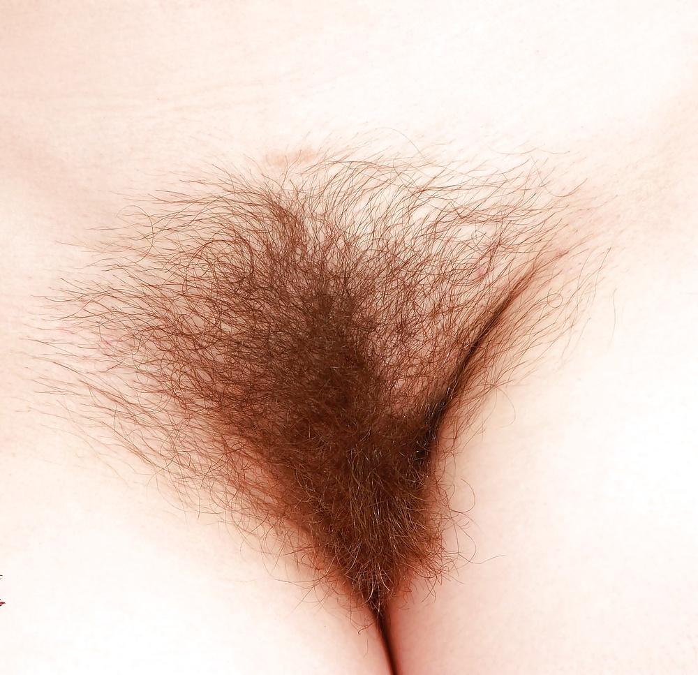 16P Super hot hairy pussy