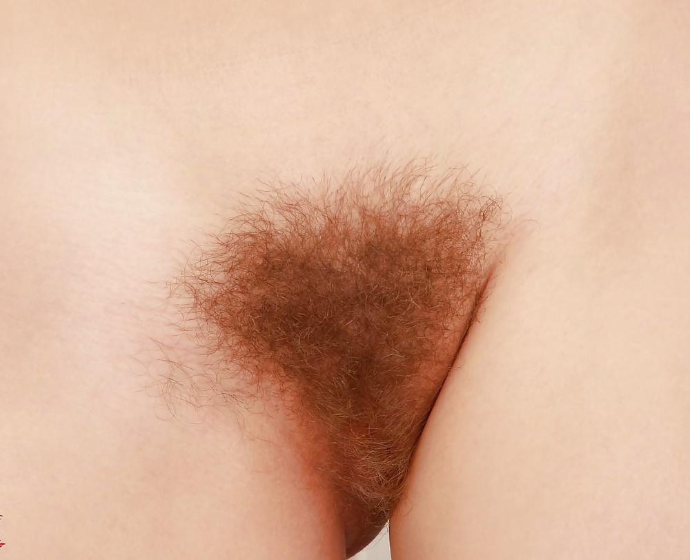 16P Super hot hairy pussy