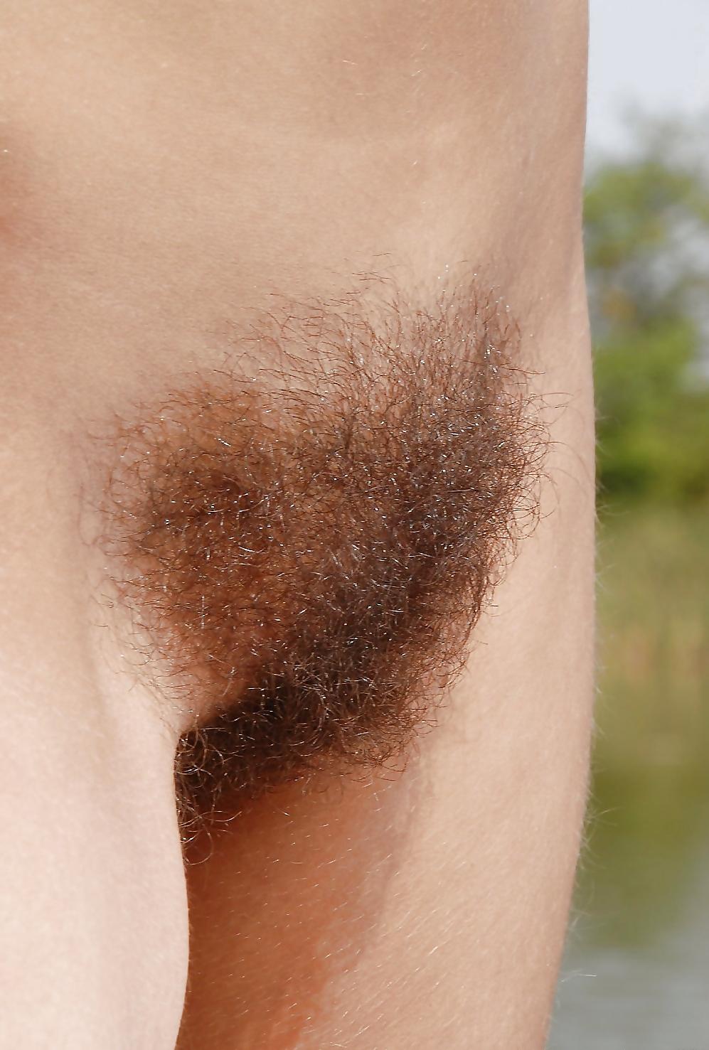 16P Super hot hairy pussy