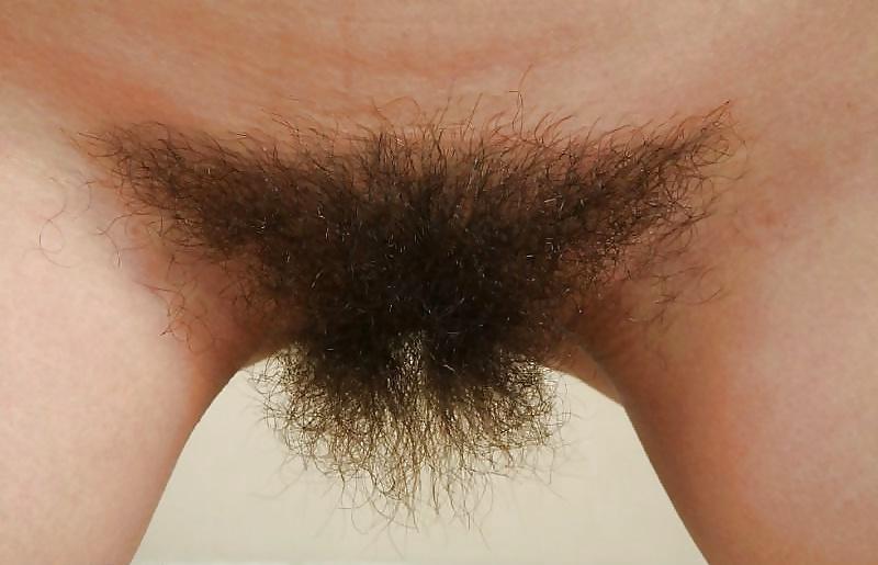 16P Super hot hairy pussy