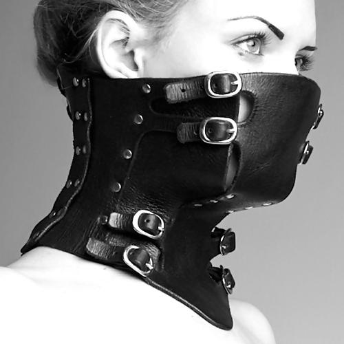 15P Rope and collar