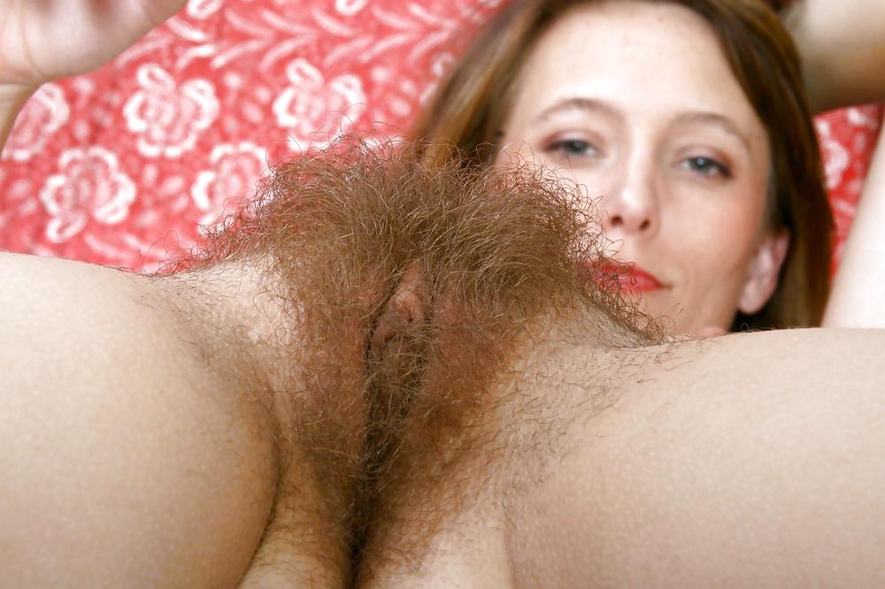 7P Huge Hairy Bush