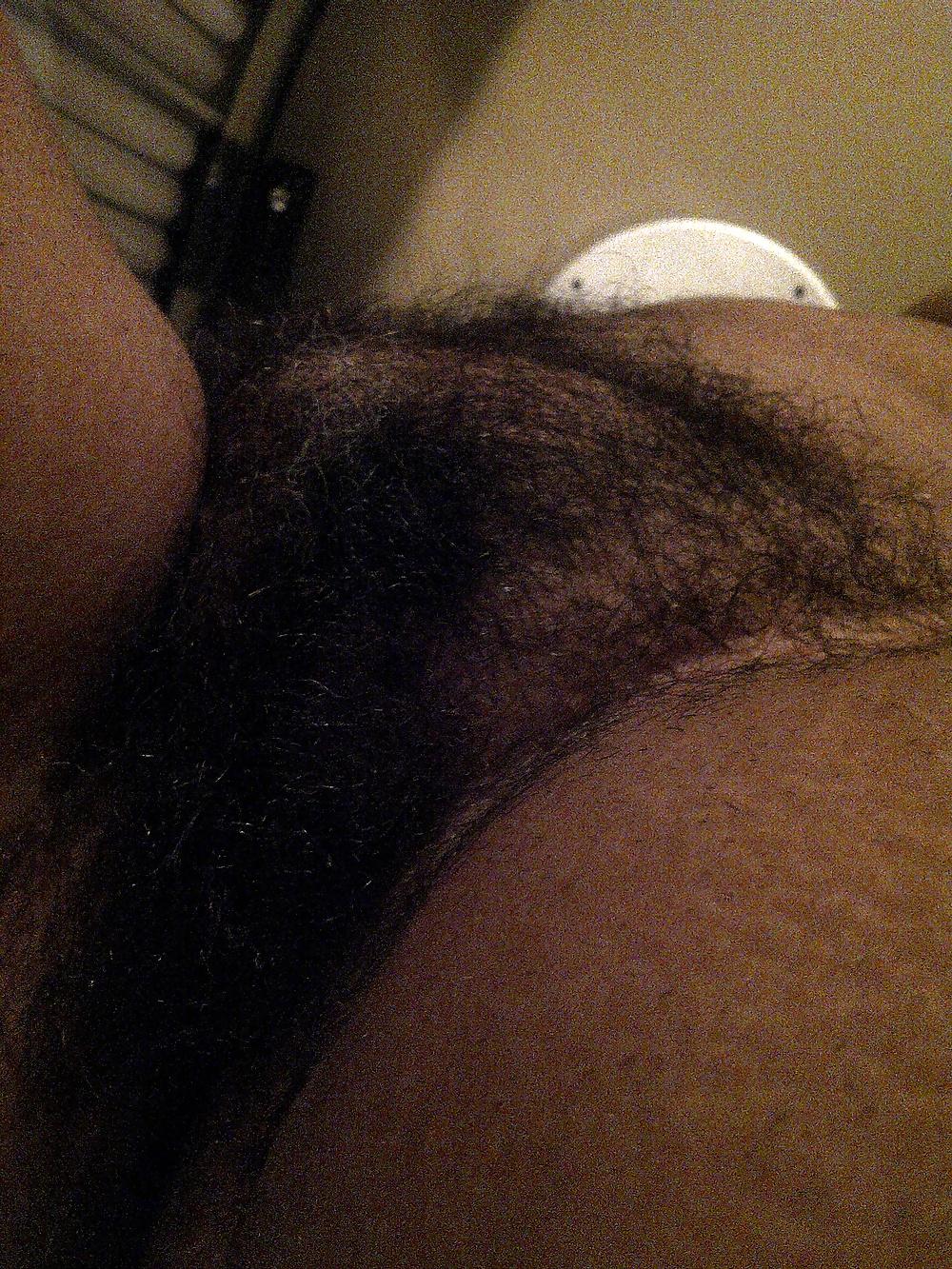 25P My Natural Bush = Part 3