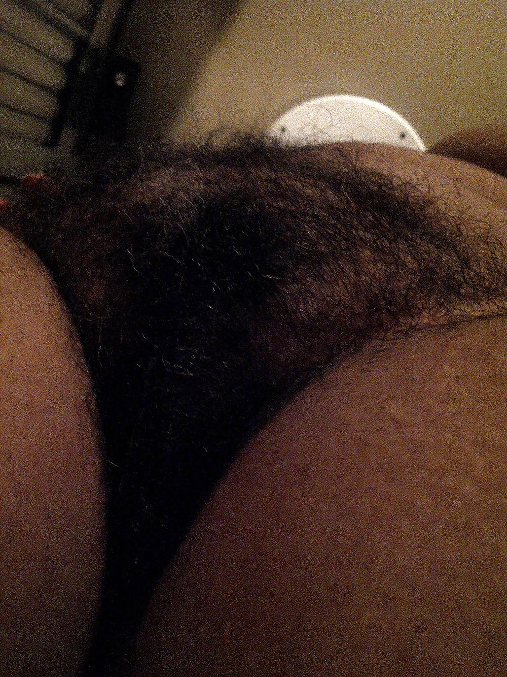 25P My Natural Bush = Part 3