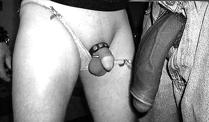 25P Worship The Cock.
