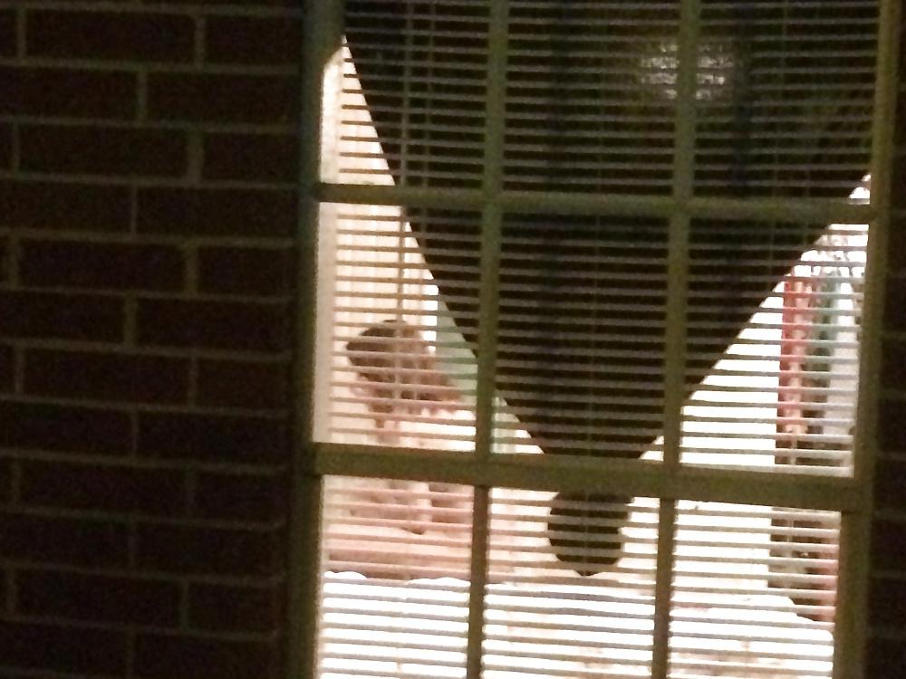 5P Window