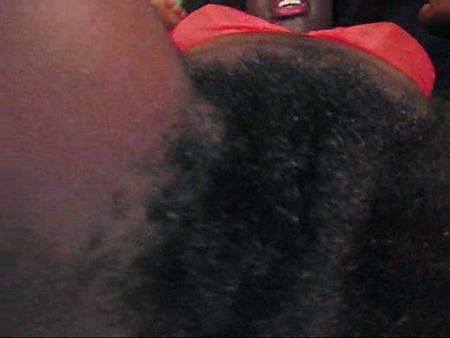 25P Raw Hairy bush