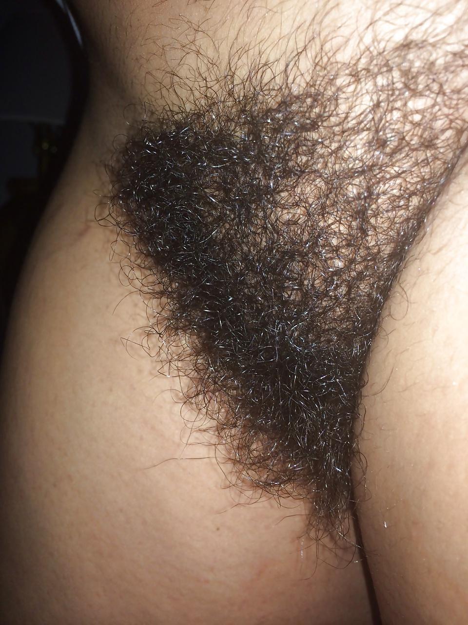 17P Nothin' Like Hairy Pussy
