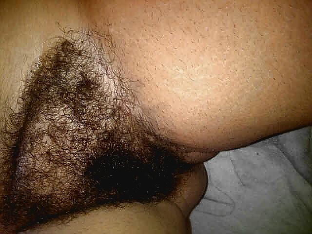 12P My Natural Bush - Part 6