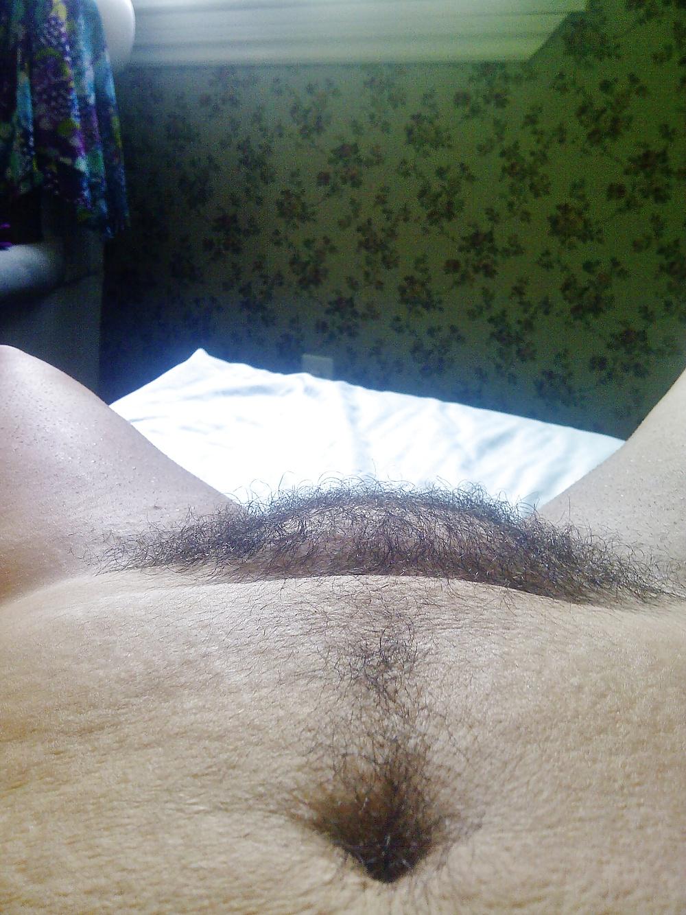 12P My Natural Bush - Part 6