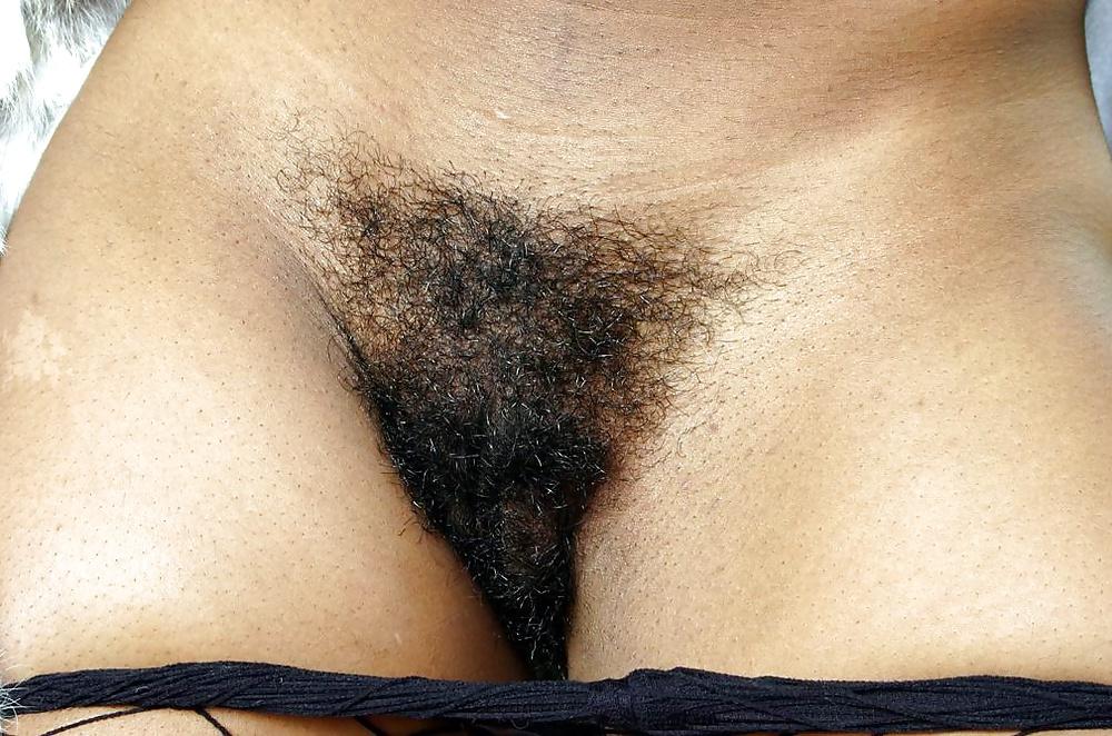 6P HAIRY ASS PUSSY I LIKE VOL.19