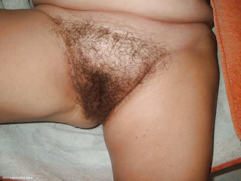 23P Hairy pussy