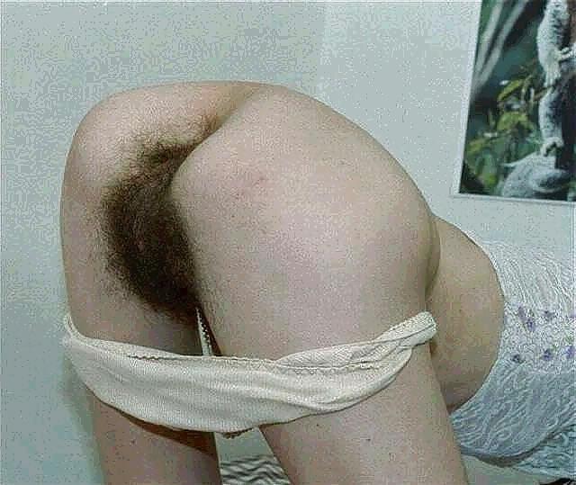 25P More Hairy Pussy